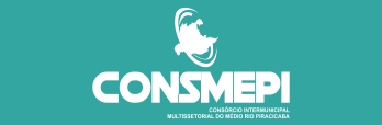 Consmepi