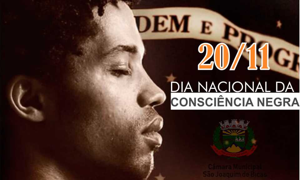 Novembro Tradução Negra Da Campanha Brasileira De Novembro Em