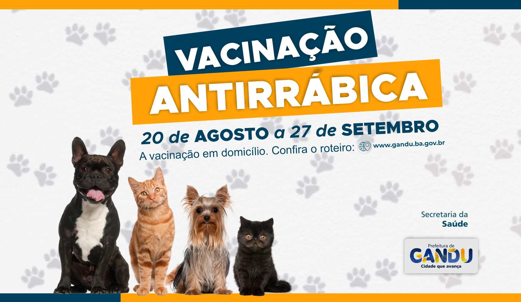 Prefeitura abre campanha Antirrábica