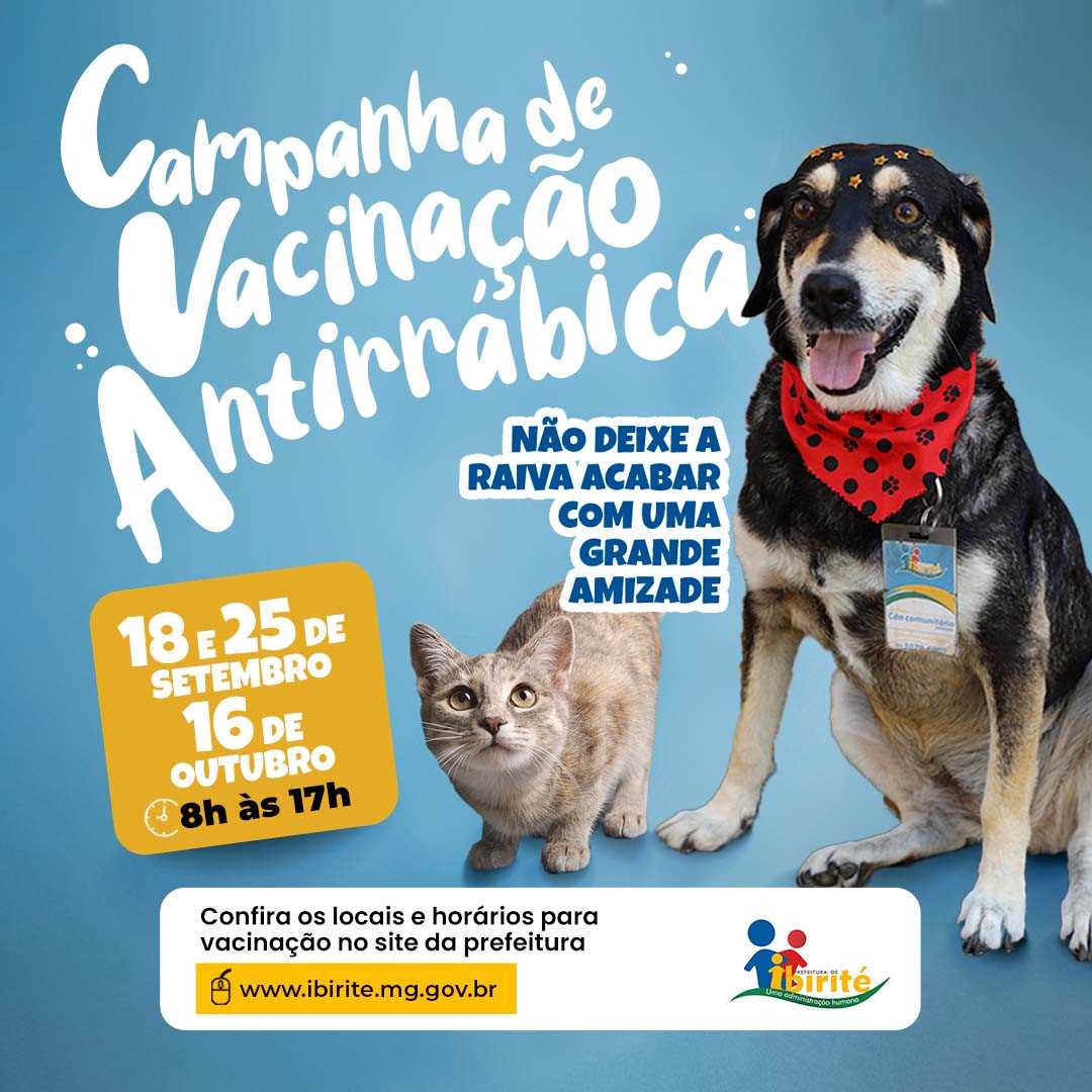 Vacinação antirrábica acontece em Brumadinho no mês de agosto