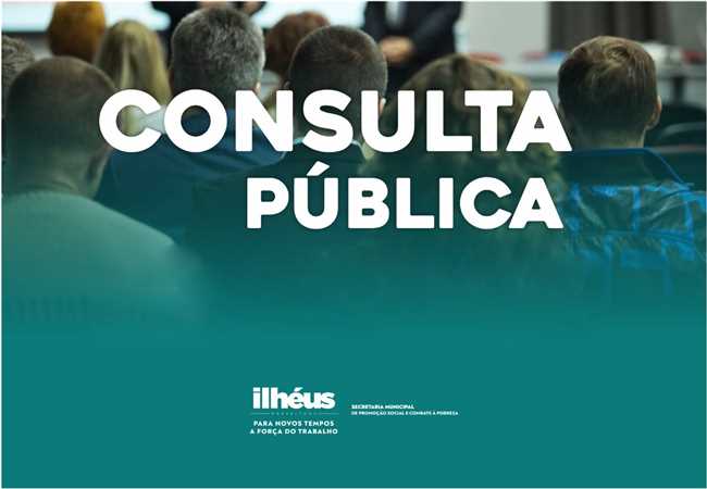 consulta pública