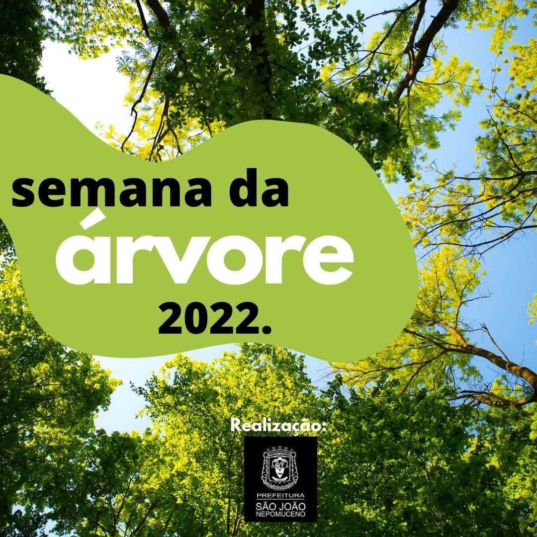 Semana Municipal de Árvore começa nesta terça (18) - PREFEITURA