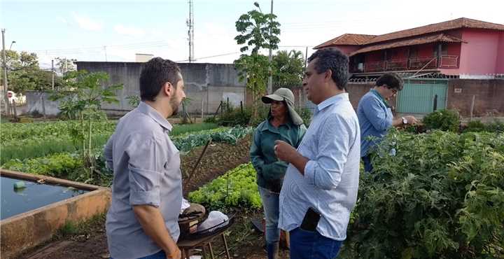  visitaemater-hortas