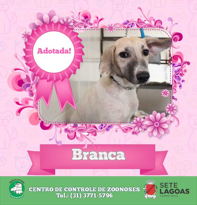 Branca Adotada