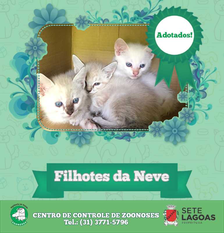 Filhotes da Neve adotados