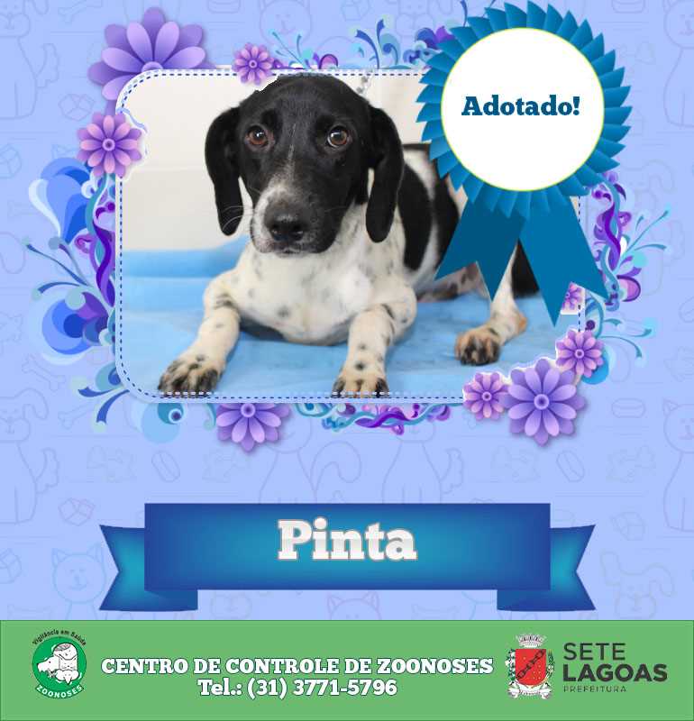 Pinta